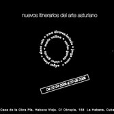 Instalación y audiovisual. Likes Hen. Casa de la Obra Pía. Centro Nacional de Arte. La Habana Vieja. Cuba. 2006